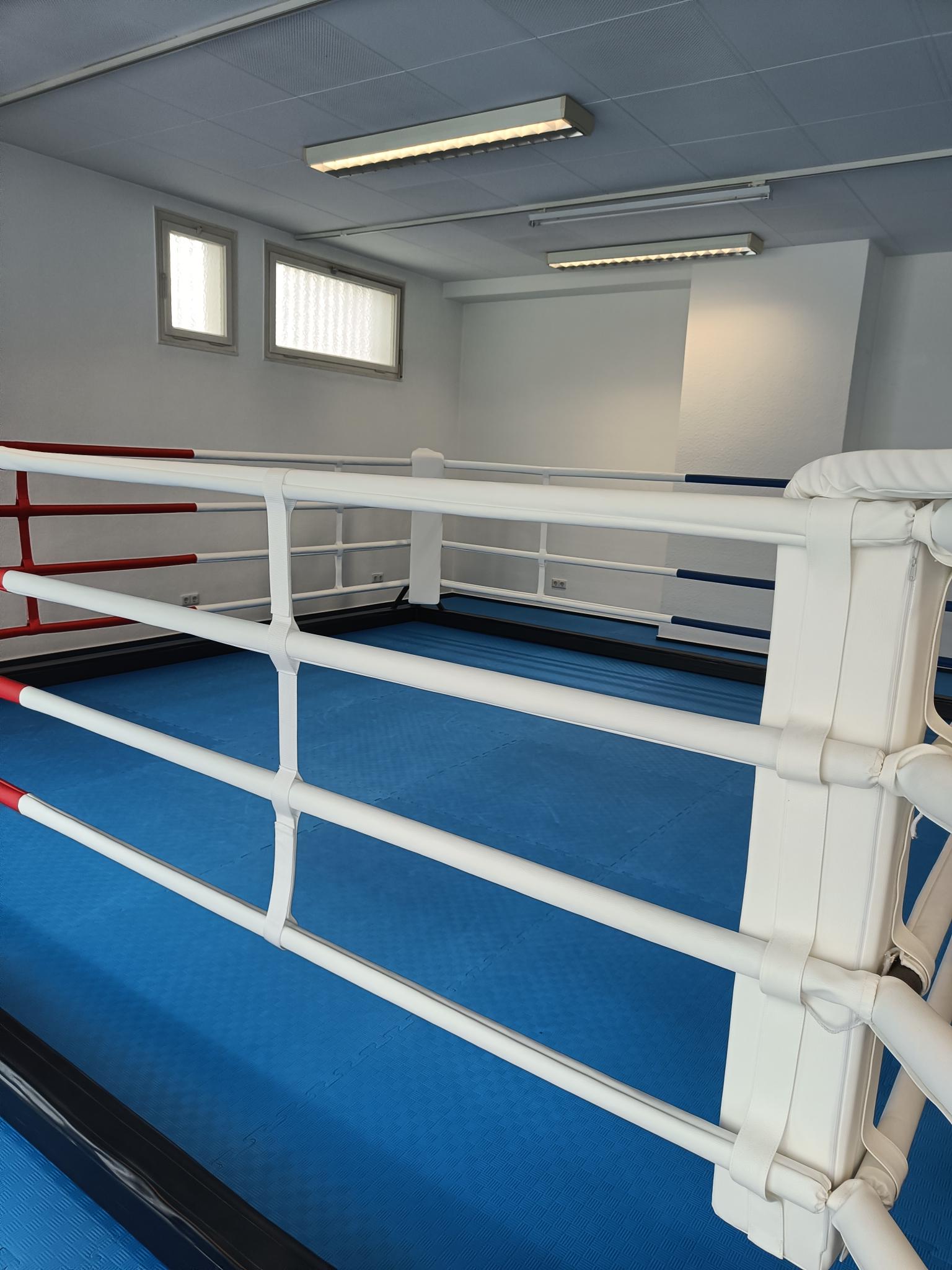 Ein leerer Boxring in einer Kickboxschule. Die Matte ist blau und die Umrandung ist weiß
